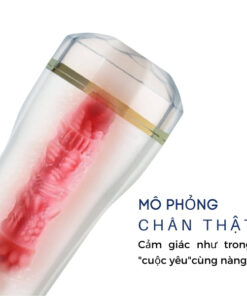 Âm đạo giả gắn tường