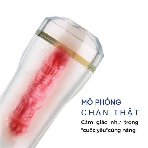 Âm đạo giả gắn tường