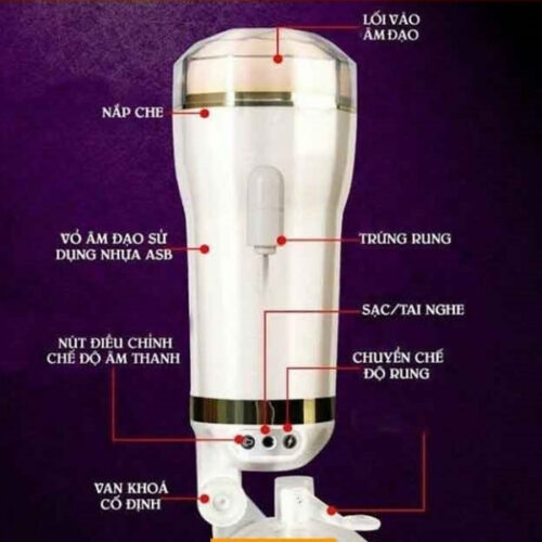 Âm đạo giả gắn tường HX