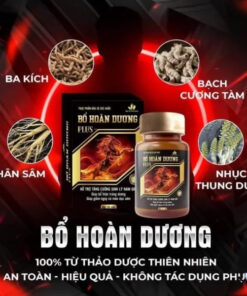 Thành phần bổ hoàn dương Super
